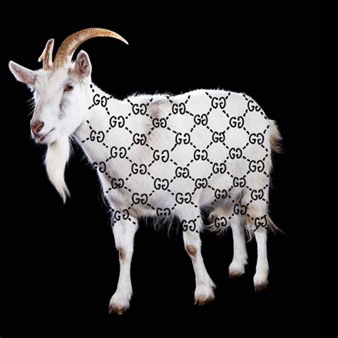 gucci gucci goat {originalist} 